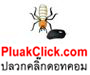 บริษัทกำจัดปลวกดินแดง